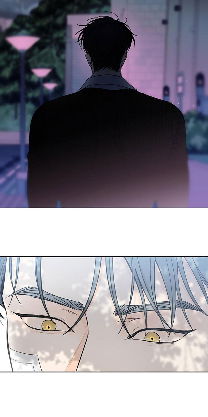 平行坠落免费观看漫画,第42章：再次面对1图