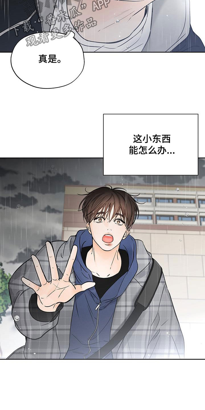 平行坠落韩漫讲的什么漫画,第35章：把他除掉2图