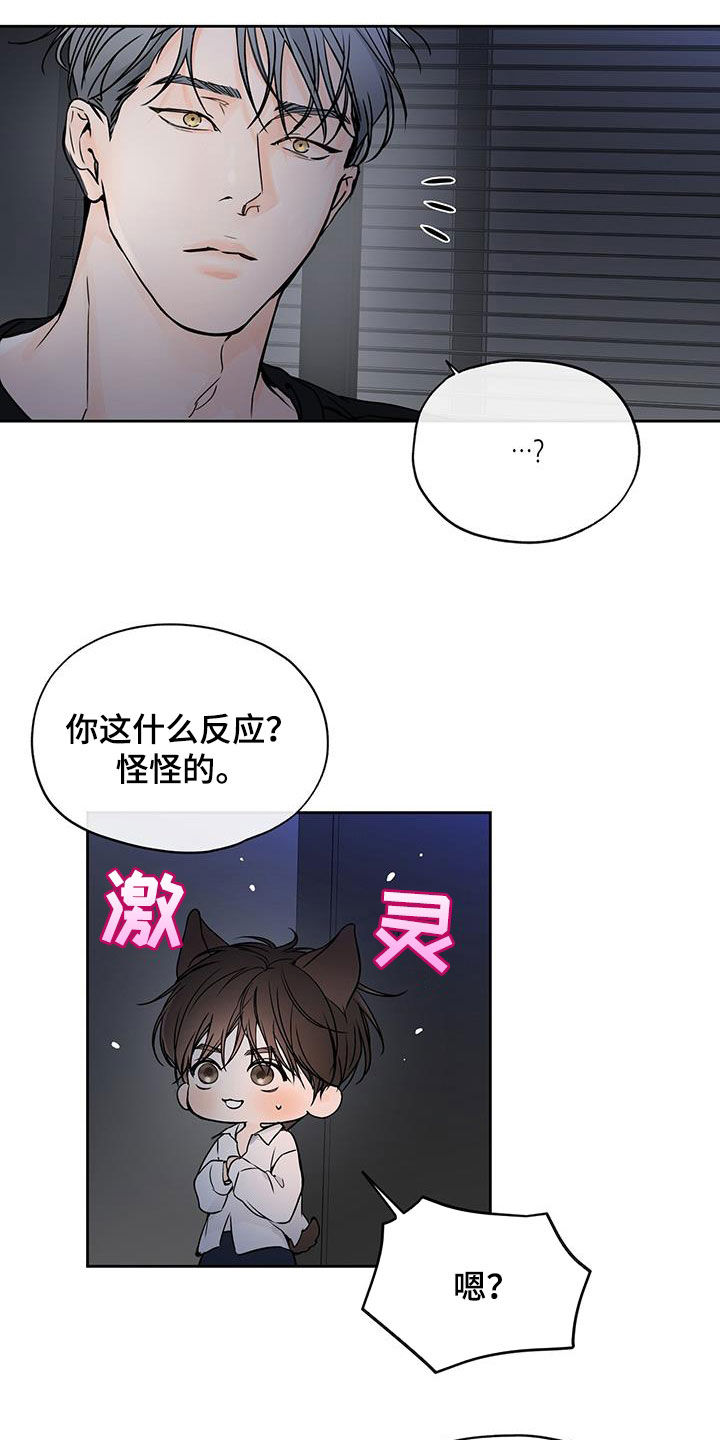 平行检验是什么意思漫画,第20章：抱歉2图