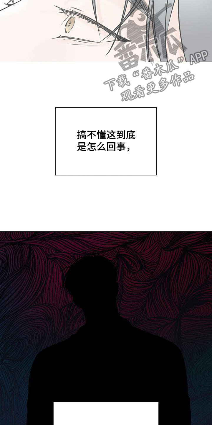 平行检验是什么意思漫画,第42章：再次面对1图