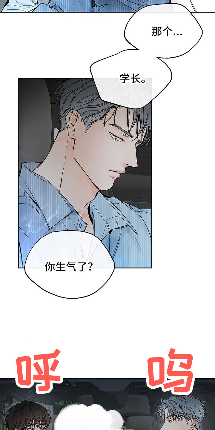 平行四边形的定义漫画,第6章：不是亲哥2图