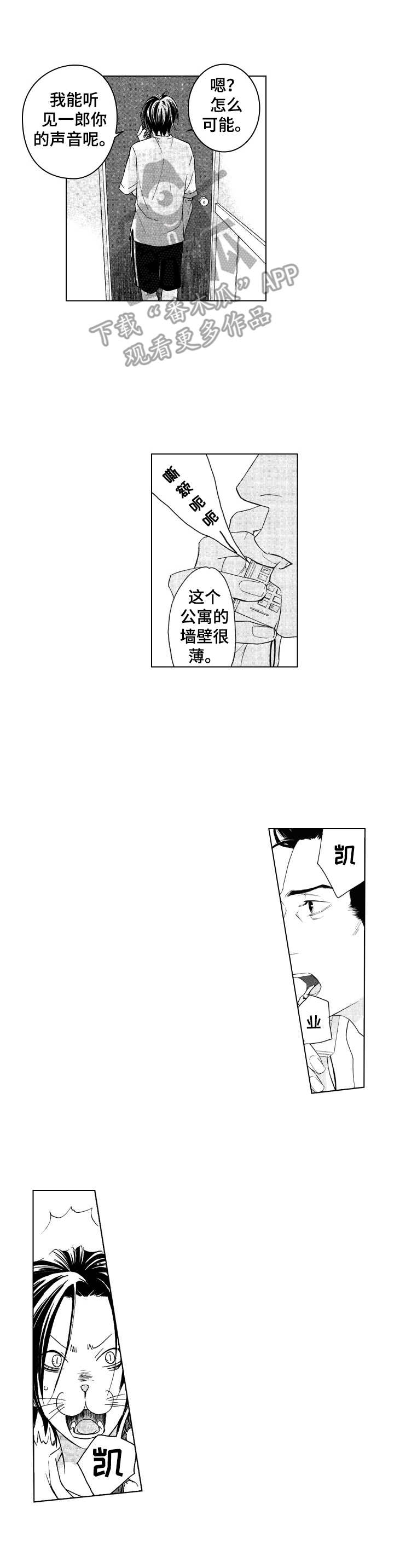 代号电视剧全集播放漫画,第6章：一样的2图