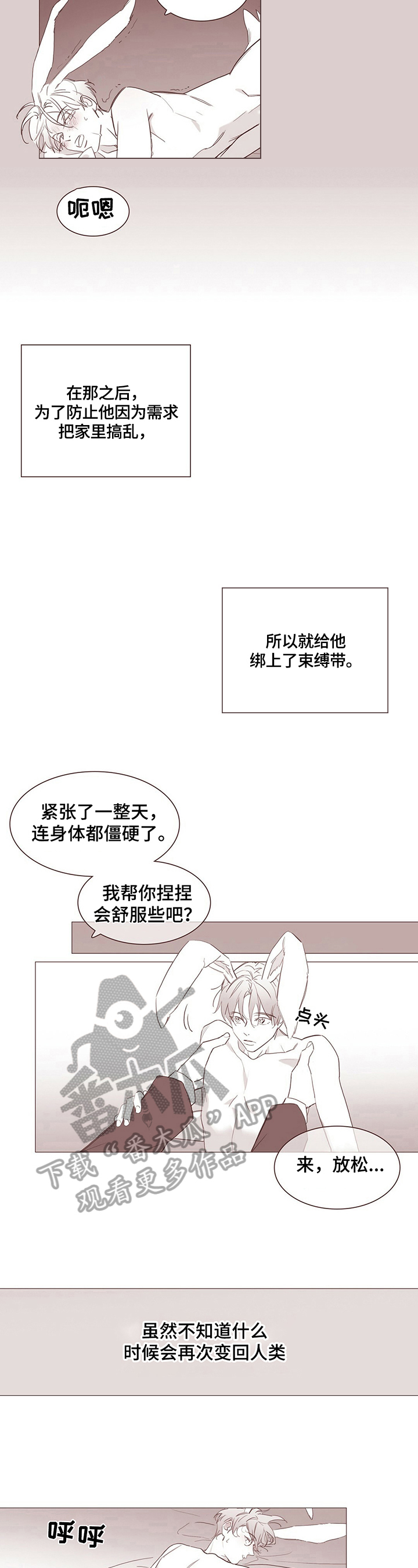 过度呼吸漫画,第13章：【番外】变成兔子2图