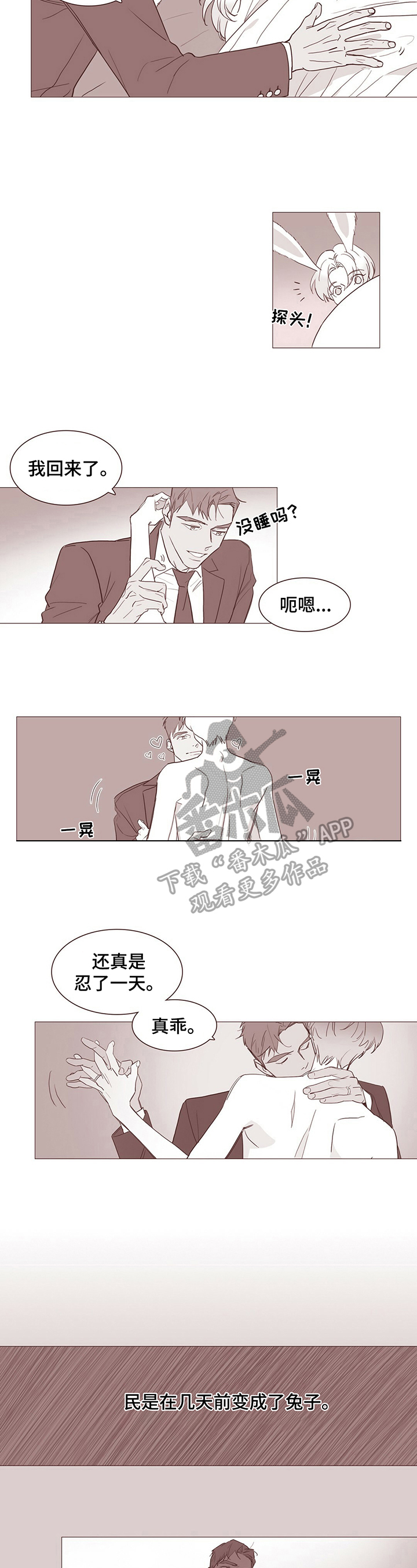 过度呼吸漫画,第13章：【番外】变成兔子2图