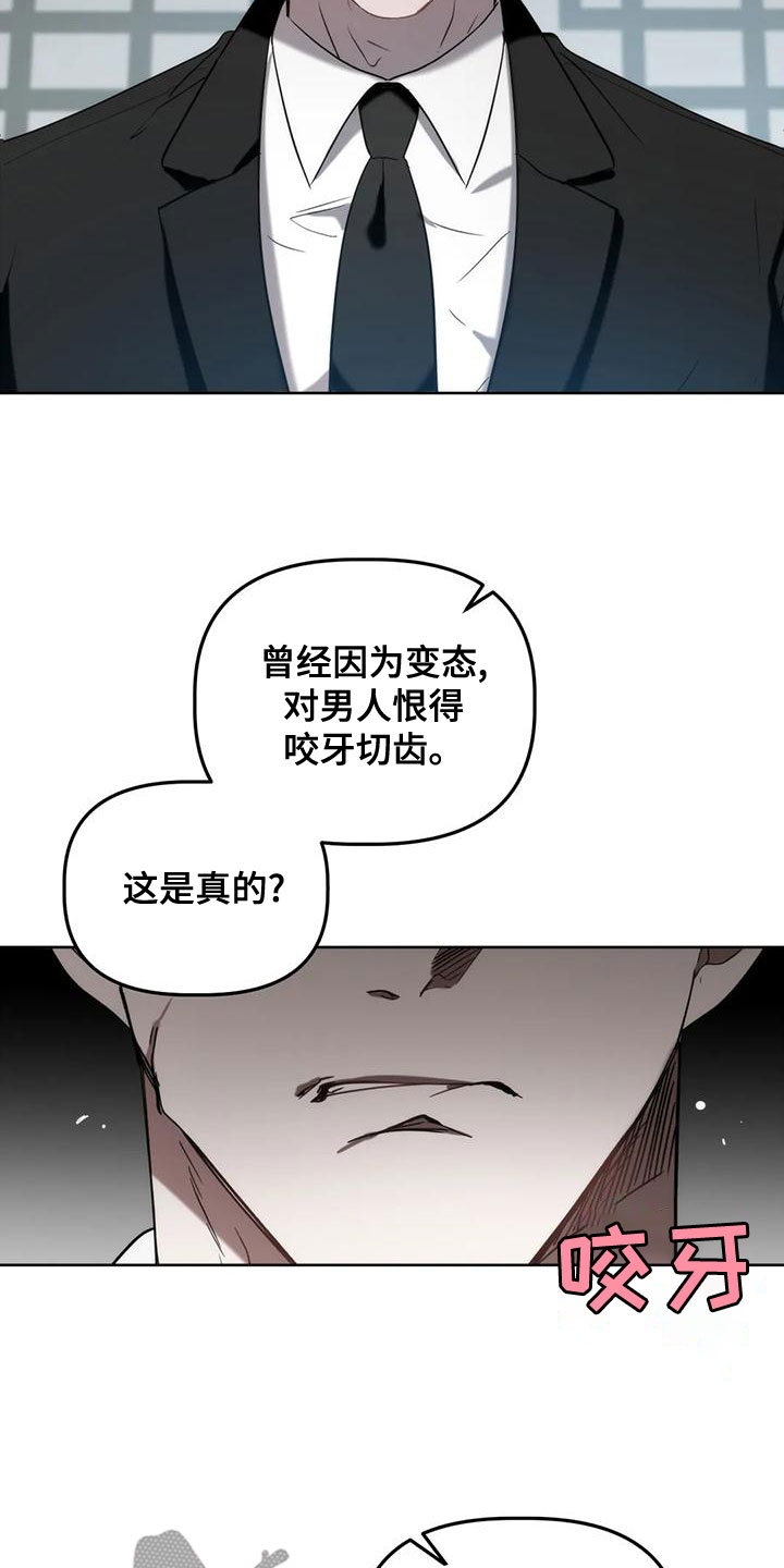 危险运输车辆高速80公里跟车距离漫画,第17章：爱人2图