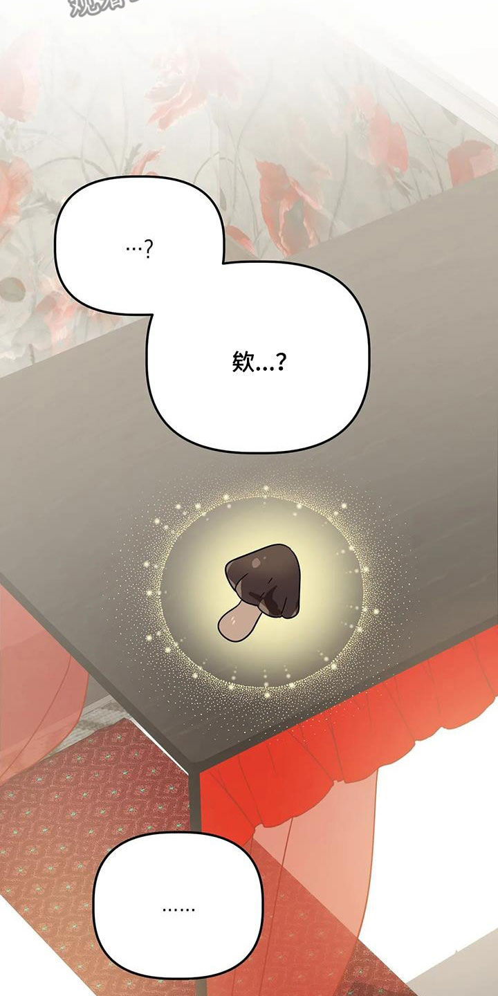 危险运输车辆可以拉哪些漫画,第57章：我又没胡说1图