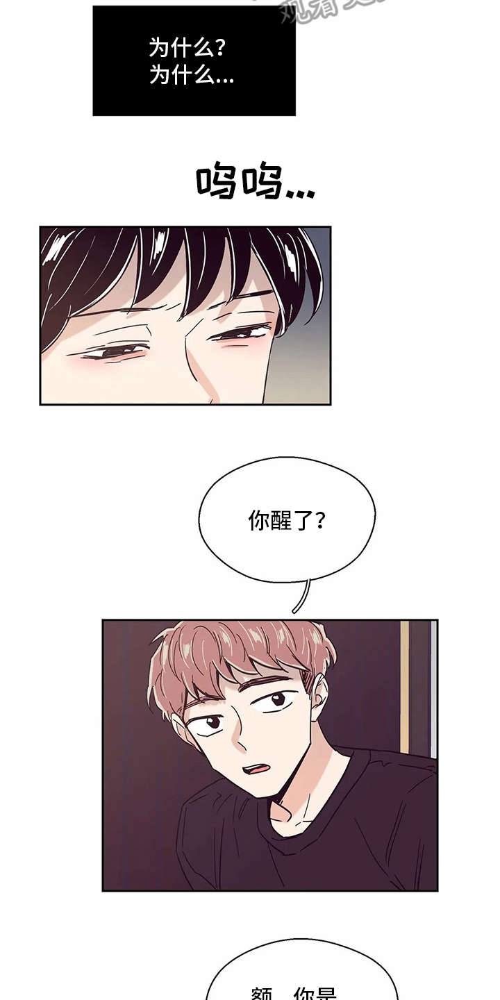 婚礼祝歌漫画,第47章：痛哭2图