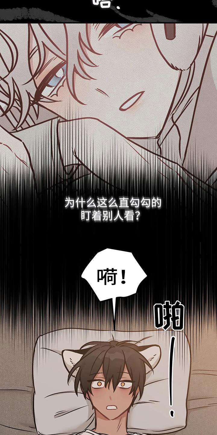 胆怯的老虎汉化组漫画,第5章：过夜1图