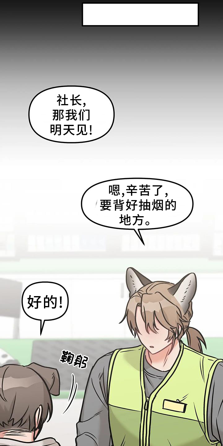 胆怯的老虎小说漫画,第11章：短信1图