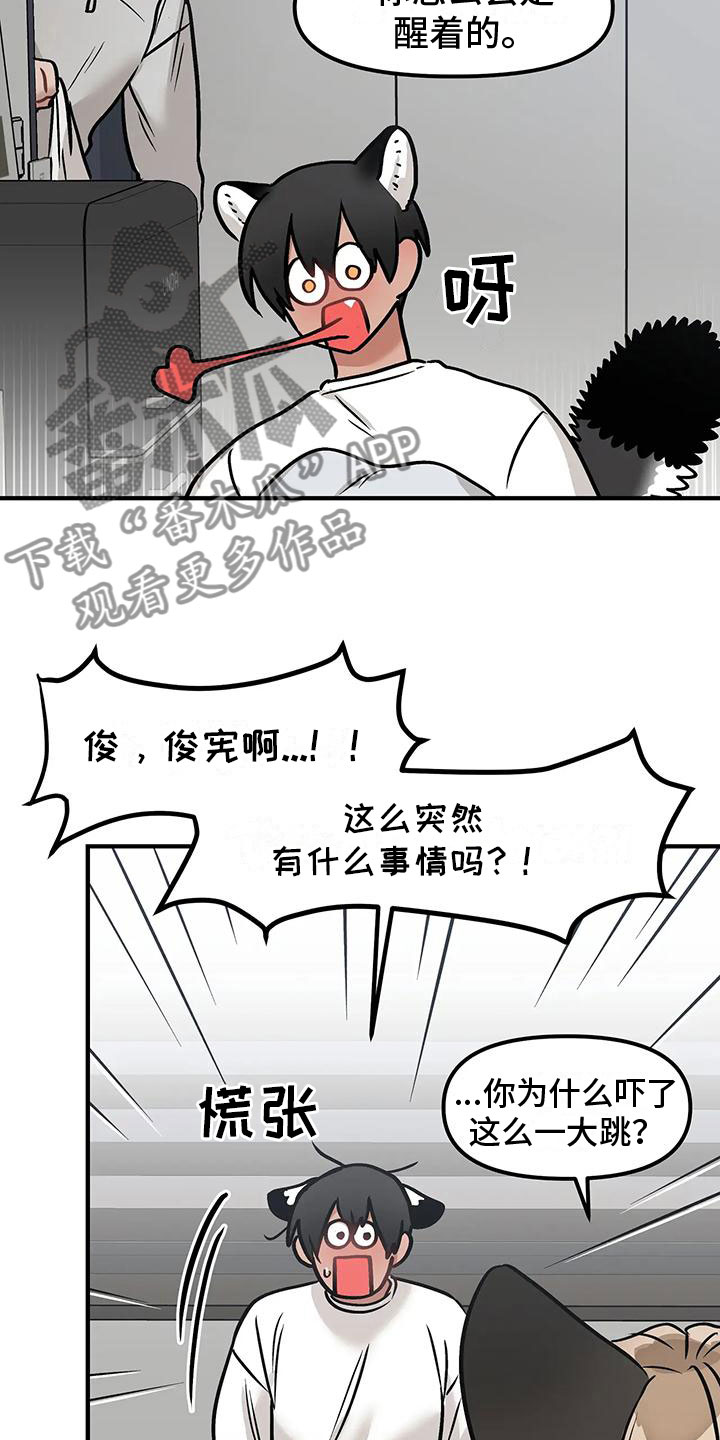 胆怯的老虎漫画在哪看漫画,第5章：过夜1图