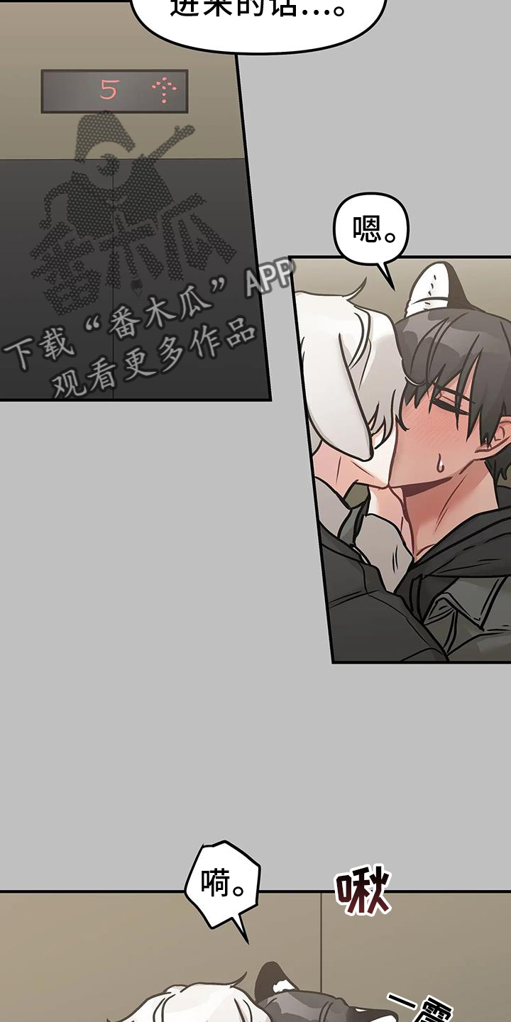 胆怯的老虎漫画在哪看漫画,第12章：进攻2图