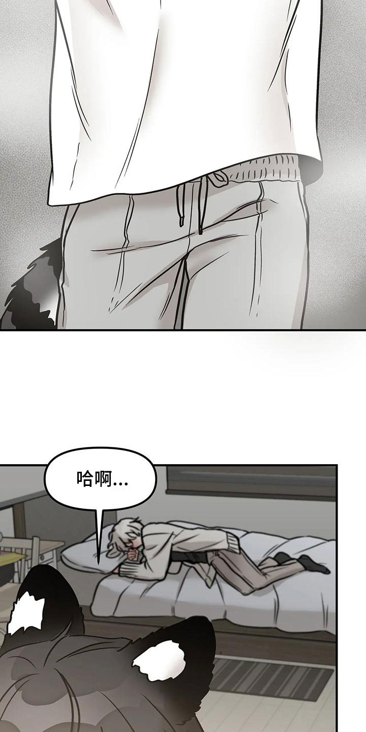 胆怯的小白菊漫画,第3章：带回家2图