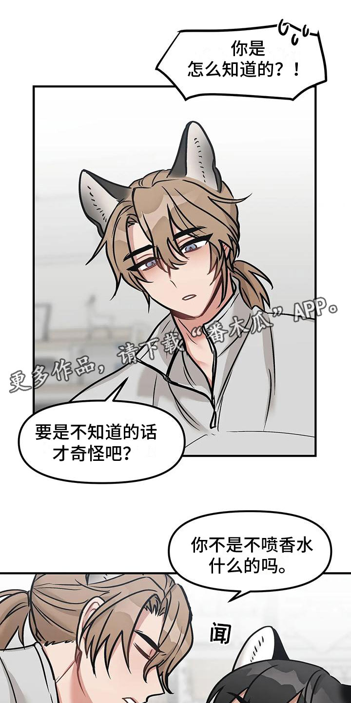 漫画胆怯的老虎漫画,第6章：逃跑1图