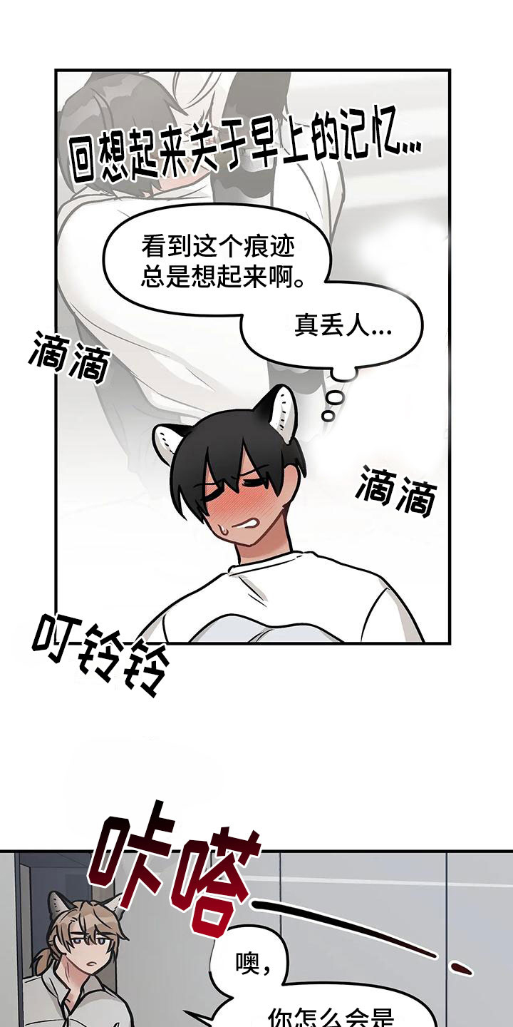 胆怯的老虎漫画在哪看漫画,第5章：过夜2图