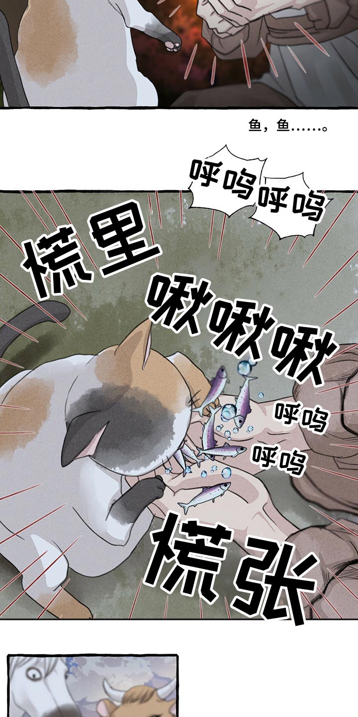 冒险神秘洞穴之谜漫画,第149章：无法相信2图