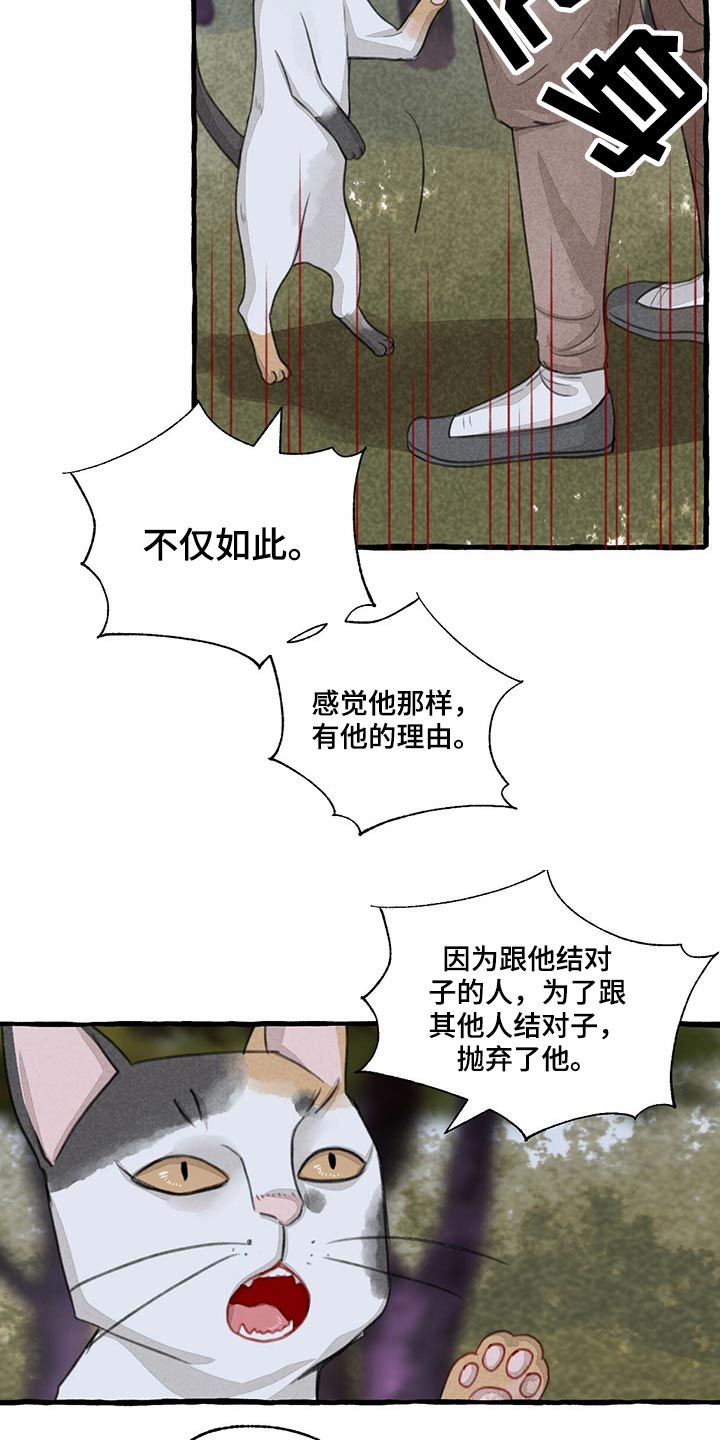 冒险岛枫之传说漫画,第149章：无法相信2图