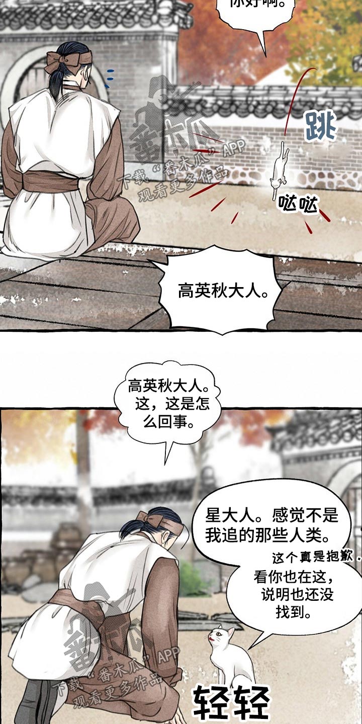 小人国冒险的秘密漫画,第128章：猫咪1图