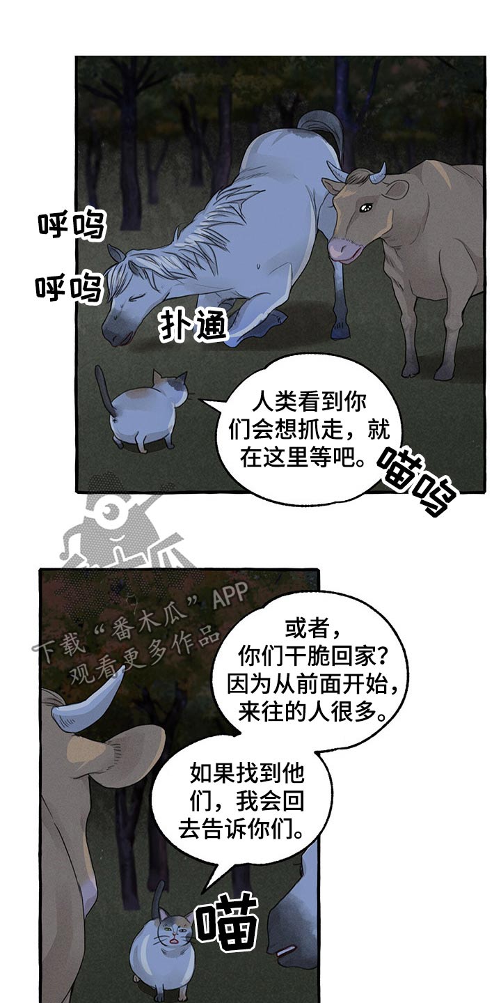 小人国冒险的秘密漫画,第137章：亲自出马1图