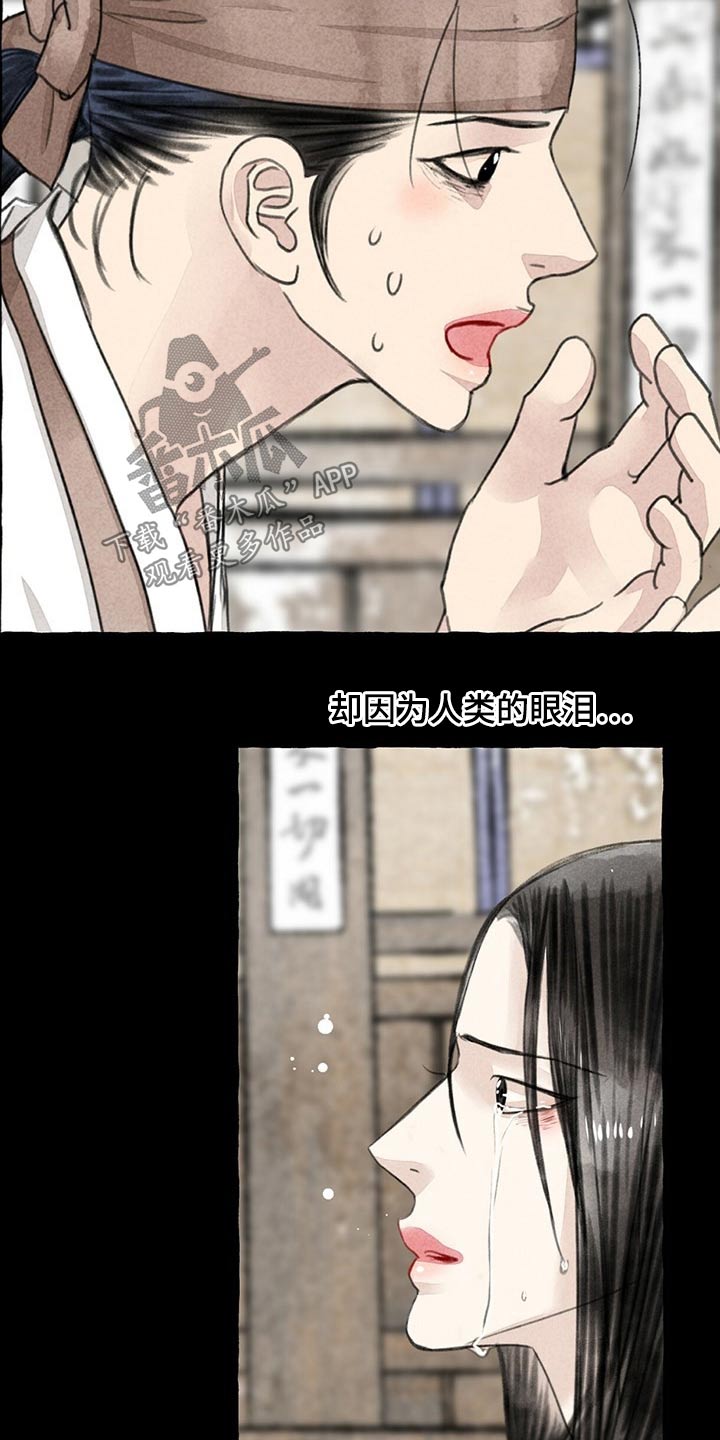 毛线面料漫画,第128章：猫咪2图