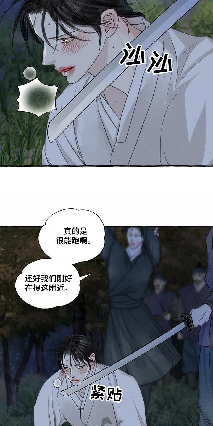 冒险迷岛手游宠物推荐漫画,第162章：抓住1图