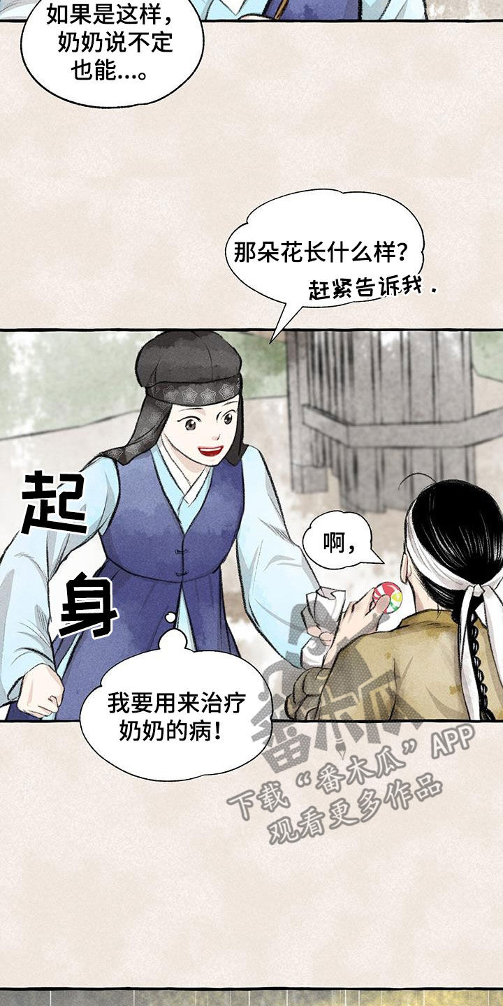 冒险迷岛手游冰龙和火龙的区别漫画,第184章：采花1图