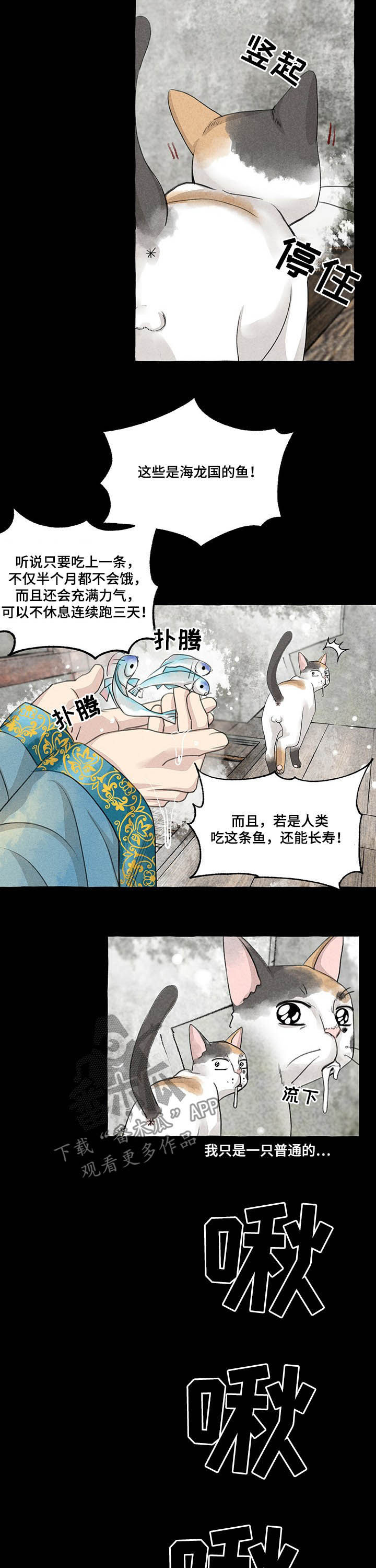 植物大战僵尸二冒险有什么秘密漫画,第104章：悬崖2图