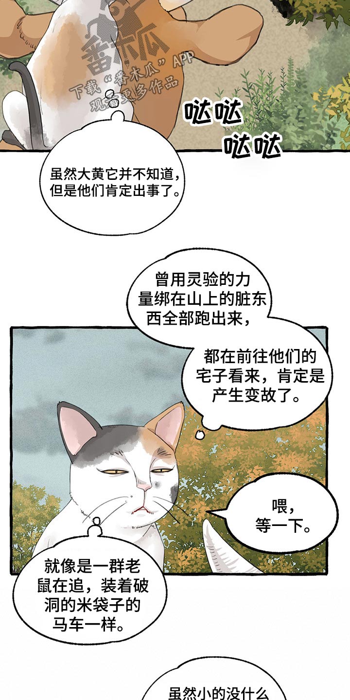 冒牌天神2漫画,第121章：绝对1图