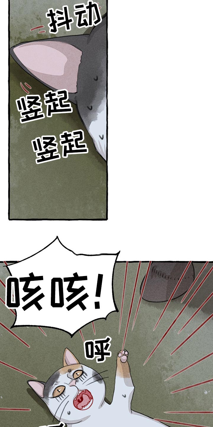 停车场的秘密冒险漫画,第149章：无法相信2图