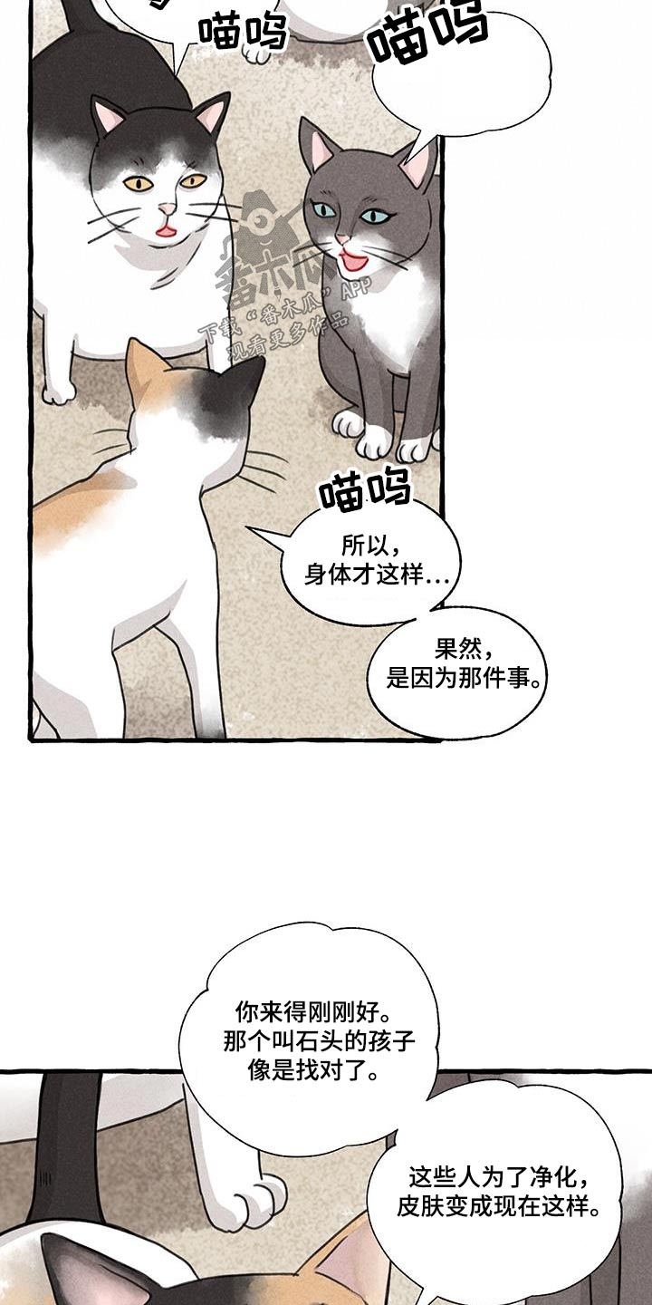 毛线面料漫画,第175章：没关系2图