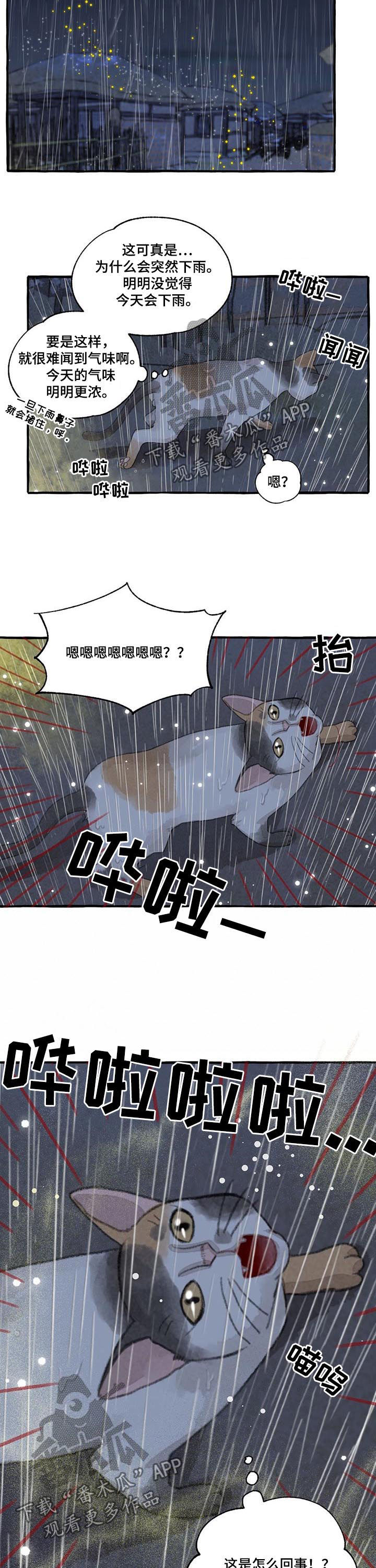 小人国冒险的秘密漫画,第99章：瑞雨1图