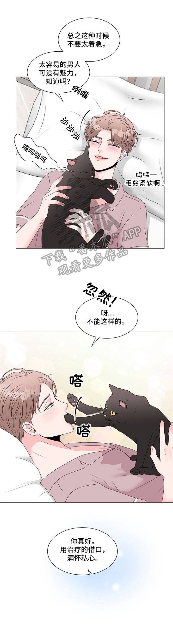 猫猫初体验漫画,第9章：回答1图