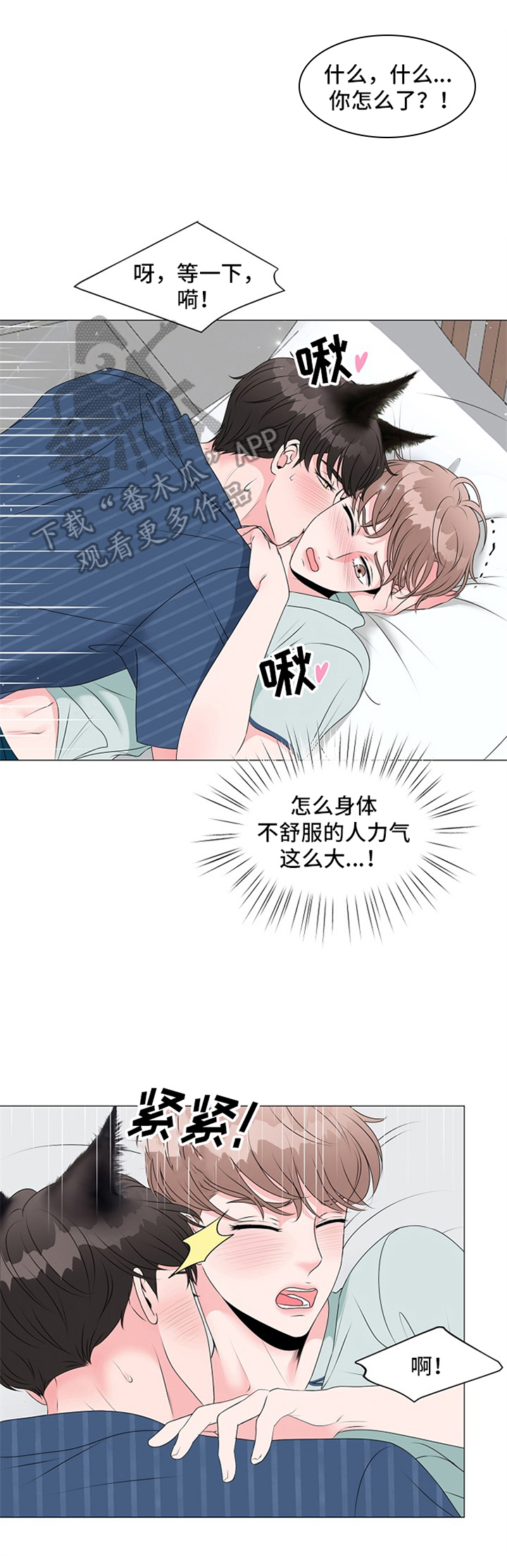 猫猫初体验漫画,第17章：开始1图