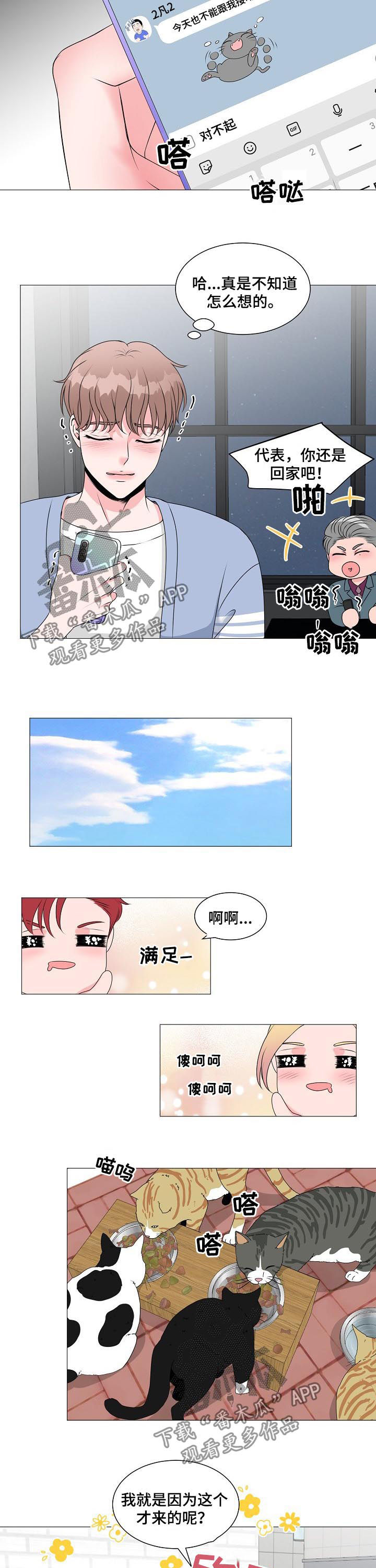 猫猫兔303漫画,第36章：别想跑1图