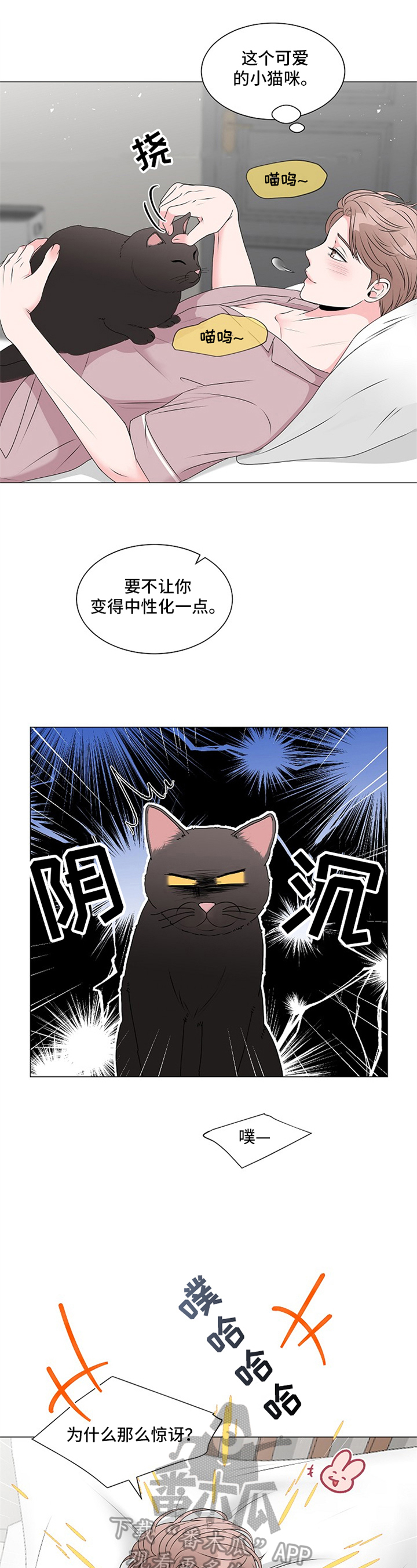 猫猫初体验漫画,第9章：回答2图