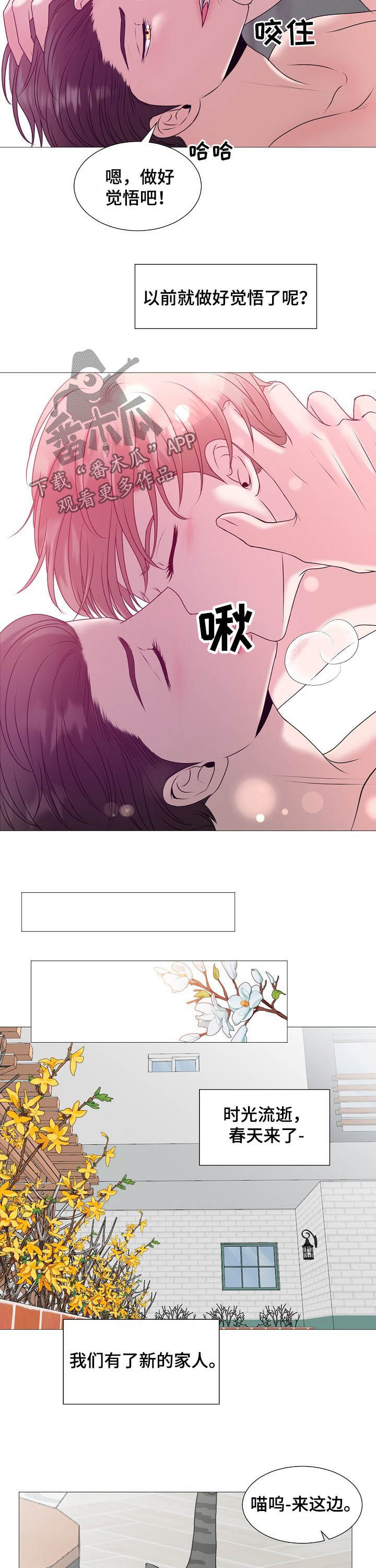 猫猫初体验漫画,第44章：婚礼2图