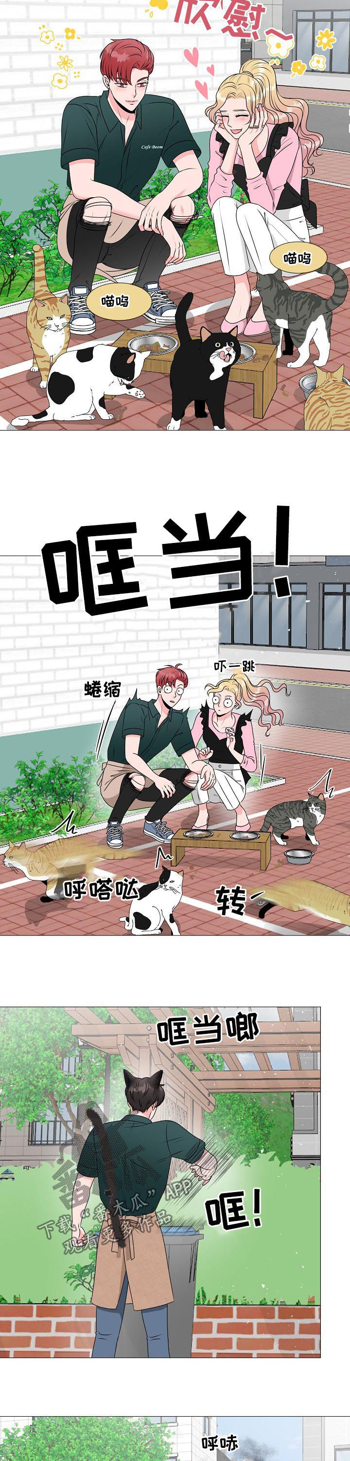 猫猫兔303漫画,第36章：别想跑2图