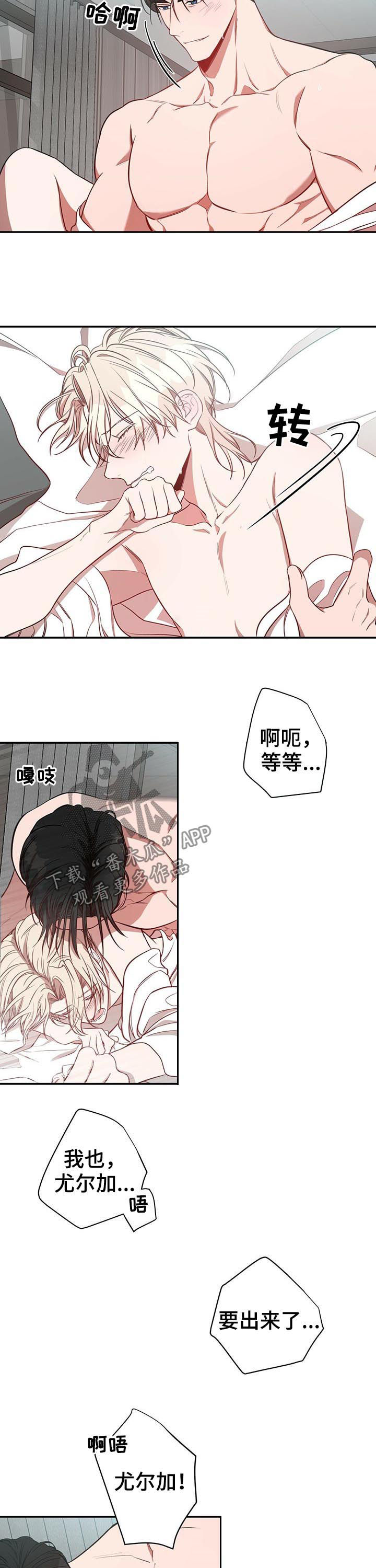 纽约面积漫画,第23章：特别1图