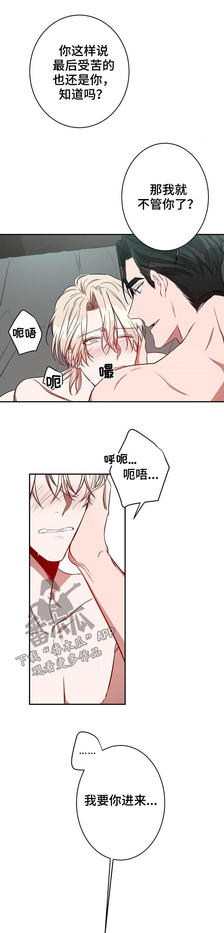 纽约秘事漫画-第33章:养你漫画,第24章：喜欢1图