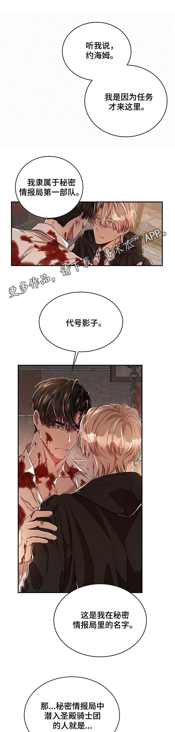 纽约秘事图片漫画,第66章：【第二季】代号影子1图