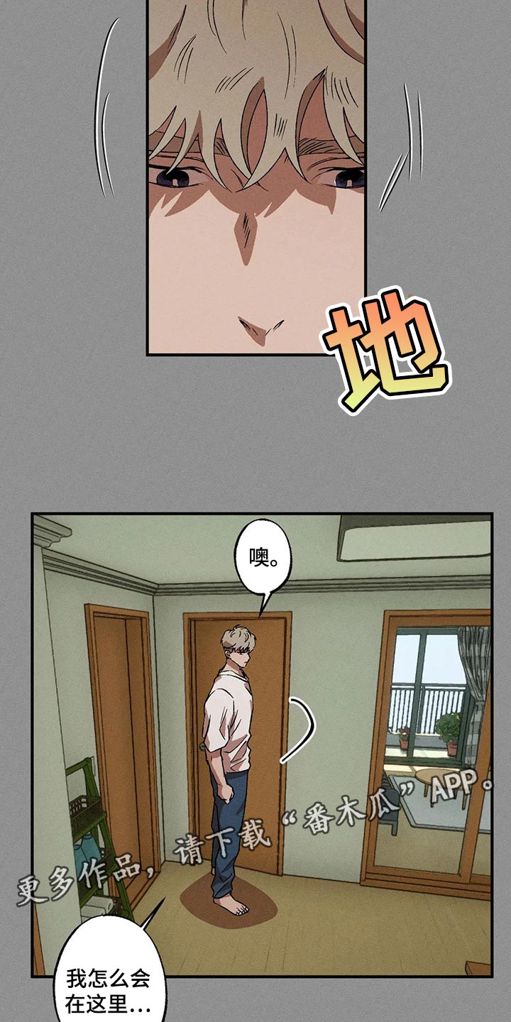 多重陷阱漫画,第61章：偷看那边的世界2图