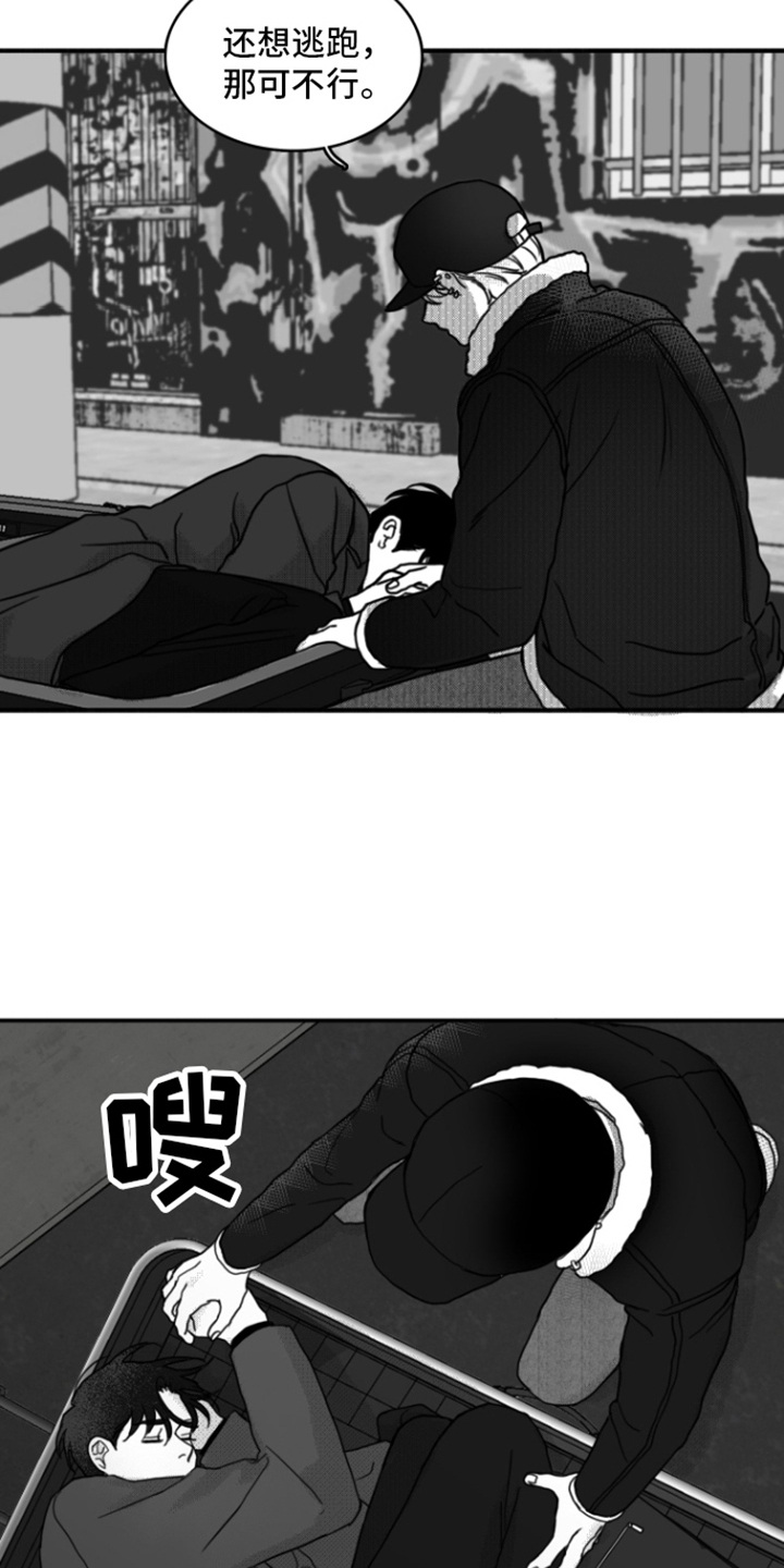 疯狂金龟车免费国语在线观看漫画,第3章：打闷棍2图