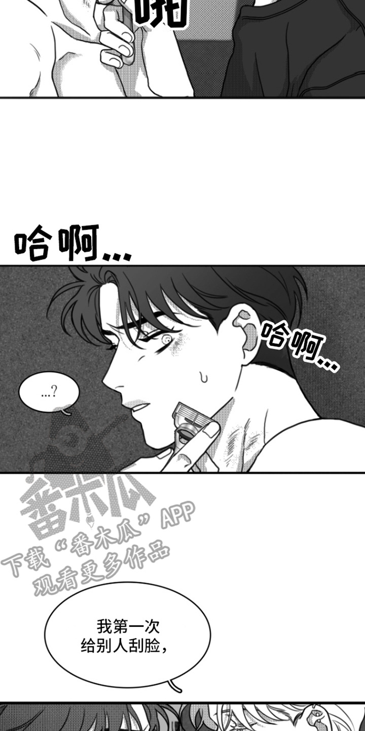 疯狂金龟车完整版hd免费在线观看漫画,第17章：刮脸2图