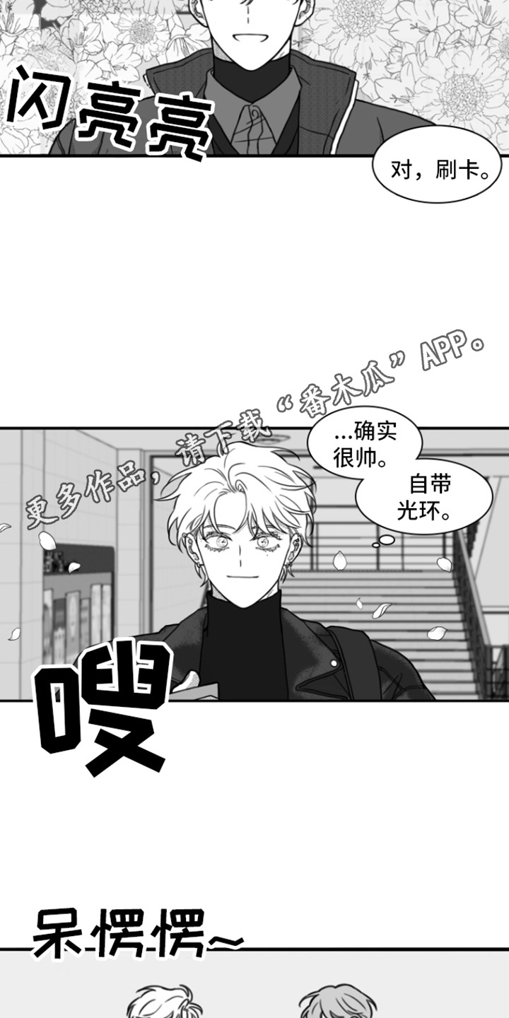 疯狂金龟车完整版hd免费在线观看漫画,第13章：善良2图