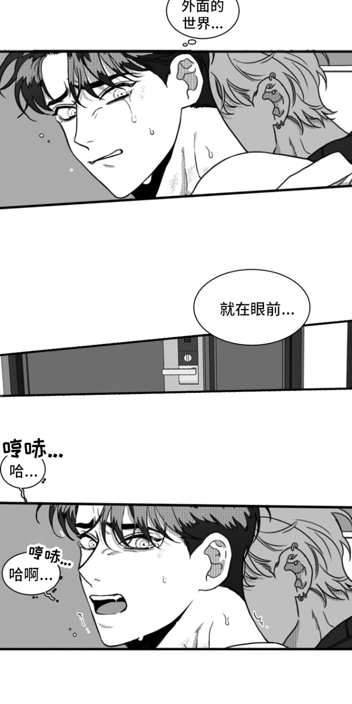 疯狂禁锢第二季免费播放漫画,第16章：身不由己1图