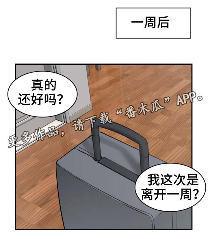 隔墙板安装全过程视频漫画,第5章：离开1图