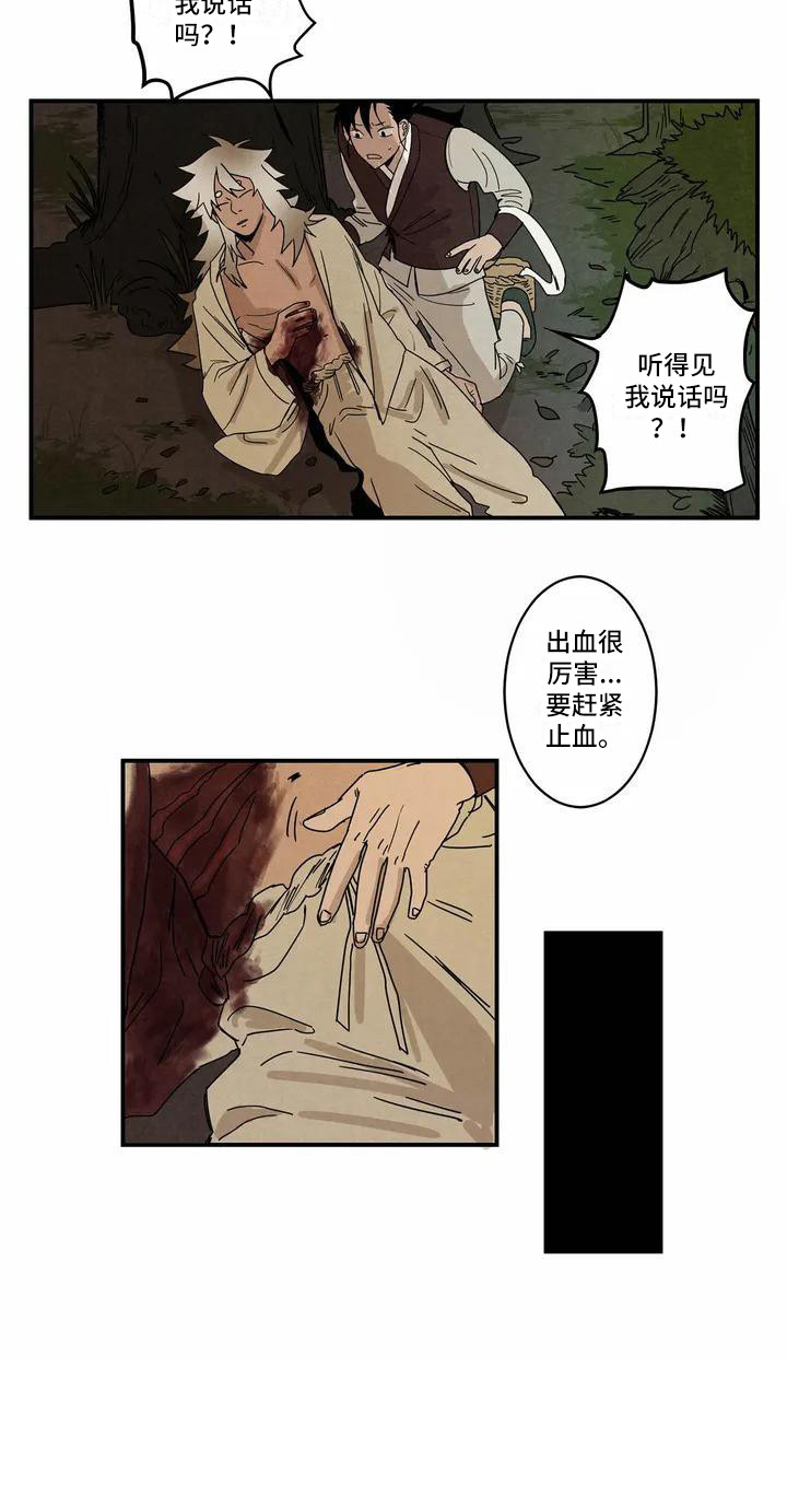 白狐的报恩电视剧漫画,第1章：老虎2图