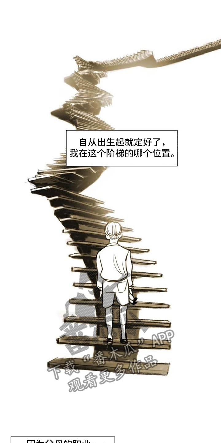 艺术之星主要事迹简介漫画,第36章：人气教授1图