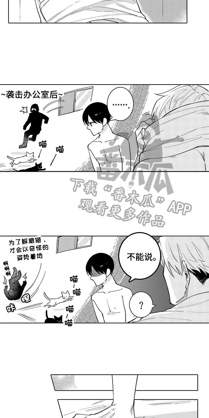 忍者部落充值打折平台漫画,第22章：保证【完结】2图