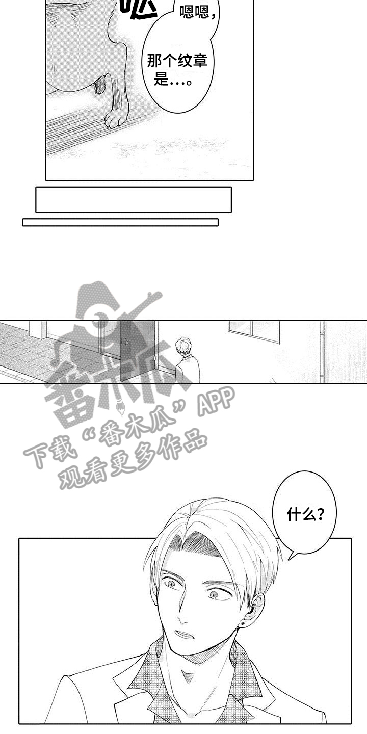 忍者部落充值打折平台漫画,第16章：纹章2图