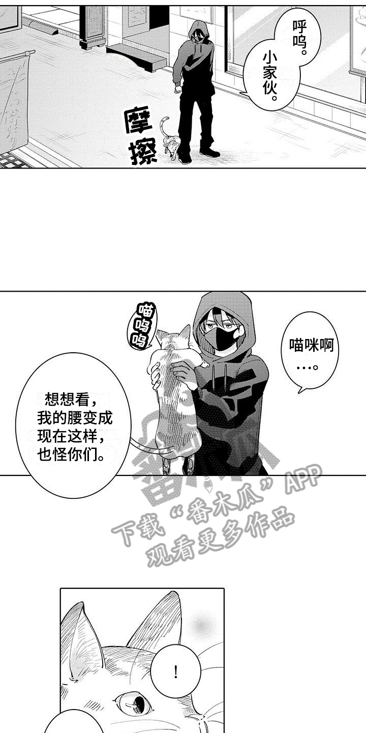忍者部落充值打折平台漫画,第16章：纹章2图